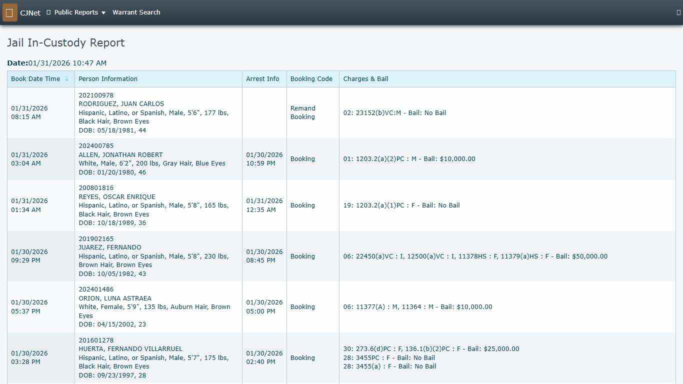 Jail In-Custody Report CJNet